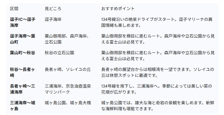 国道134号線沿いの王道ルート